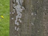 image of grave number 788596